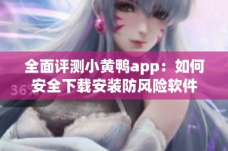 全面评测小黄鸭app：如何安全下载安装防风险软件