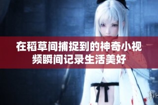 在稻草间捕捉到的神奇小视频瞬间记录生活美好