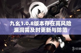 九幺1.0.8版本存在高风险漏洞需及时更新与防范