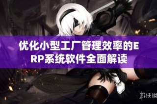 优化小型工厂管理效率的ERP系统软件全面解读