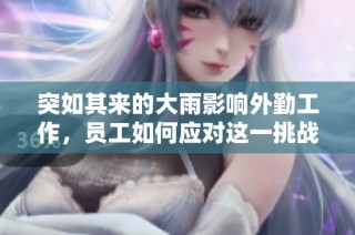 突如其来的大雨影响外勤工作，员工如何应对这一挑战