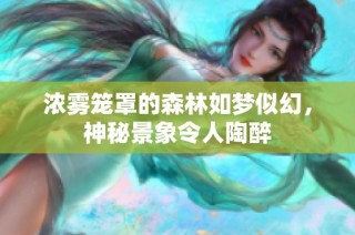 浓雾笼罩的森林如梦似幻，神秘景象令人陶醉