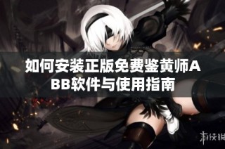 如何安装正版免费鉴黄师ABB软件与使用指南