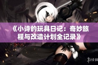 《小诗的玩具日记：奇妙旅程与改造计划全记录》