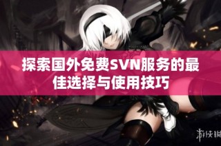 探索国外免费SVN服务的最佳选择与使用技巧
