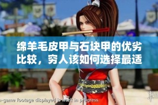 绵羊毛皮甲与石块甲的优劣比较，穷人该如何选择最适合的装备攻略