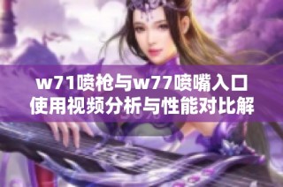 w71喷枪与w77喷嘴入口使用视频分析与性能对比解读