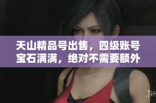 天山精品号出售，四级账号宝石满满，绝对不需要额外投入