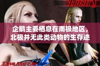 企鹅主要栖息在南极地区，北极并无此类动物的生存迹象