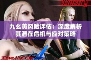 九幺黄风险评估：深度解析其潜在危机与应对策略