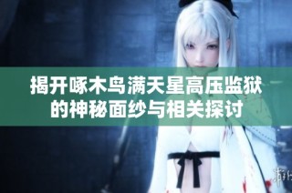 揭开啄木鸟满天星高压监狱的神秘面纱与相关探讨
