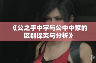《公之手中字与公中中家的区别探究与分析》