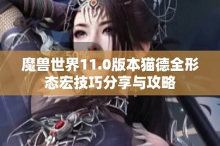 魔兽世界11.0版本猫德全形态宏技巧分享与攻略
