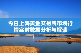 今日上海黄金交易所市场行情实时数据分析与解读