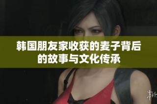 韩国朋友家收获的麦子背后的故事与文化传承
