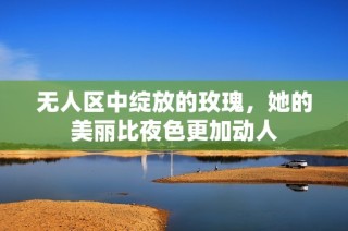 无人区中绽放的玫瑰，她的美丽比夜色更加动人