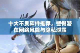 十大不良软件推荐，警惕潜在网络风险与隐私泄露
