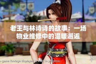 老王与林诗诗的故事：一场物业维修中的温暖邂逅