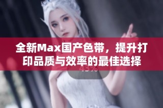 全新Max国产色带，提升打印品质与效率的最佳选择