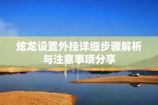 炫龙设置外挂详细步骤解析与注意事项分享