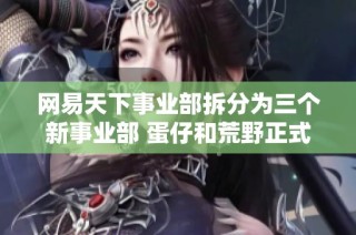 网易天下事业部拆分为三个新事业部 蛋仔和荒野正式独立发展