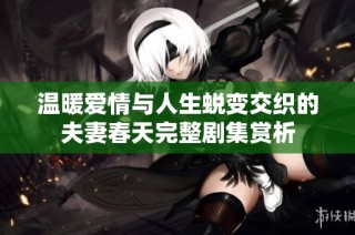 温暖爱情与人生蜕变交织的夫妻春天完整剧集赏析