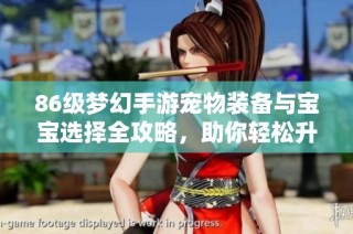86级梦幻手游宠物装备与宝宝选择全攻略，助你轻松升级成高手