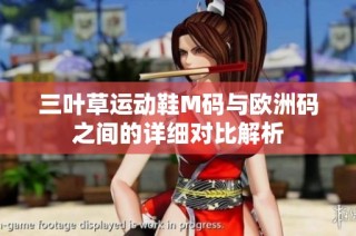 三叶草运动鞋M码与欧洲码之间的详细对比解析
