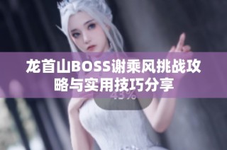 龙首山BOSS谢乘风挑战攻略与实用技巧分享