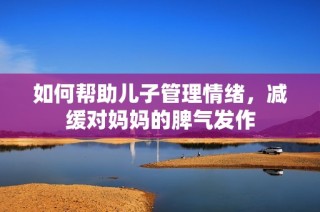 如何帮助儿子管理情绪，减缓对妈妈的脾气发作