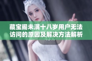 藏宝阁未满十八岁用户无法访问的原因及解决方法解析