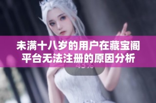 未满十八岁的用户在藏宝阁平台无法注册的原因分析