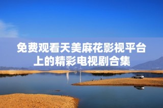 免费观看天美麻花影视平台上的精彩电视剧合集