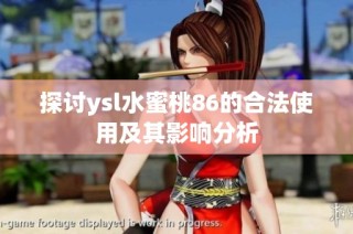 探讨ysl水蜜桃86的合法使用及其影响分析