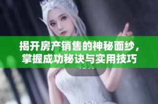 揭开房产销售的神秘面纱，掌握成功秘诀与实用技巧