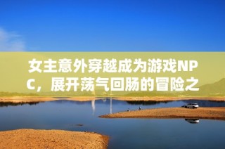 女主意外穿越成为游戏NPC，展开荡气回肠的冒险之旅