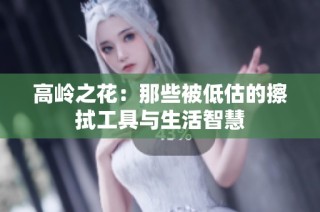高岭之花：那些被低估的擦拭工具与生活智慧