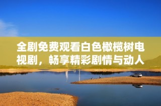 全剧免费观看白色橄榄树电视剧，畅享精彩剧情与动人故事