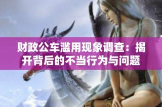 财政公车滥用现象调查：揭开背后的不当行为与问题