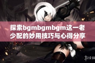 探索bgmbgmbgm这一老少配的妙用技巧与心得分享