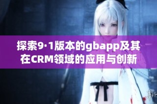 探索9·1版本的gbapp及其在CRM领域的应用与创新