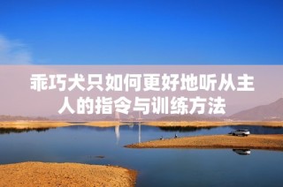 乖巧犬只如何更好地听从主人的指令与训练方法