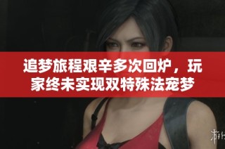 追梦旅程艰辛多次回炉，玩家终未实现双特殊法宠梦