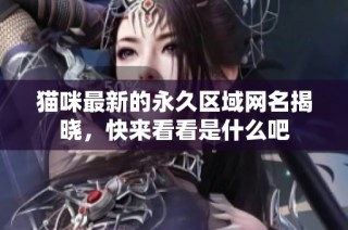 猫咪最新的永久区域网名揭晓，快来看看是什么吧