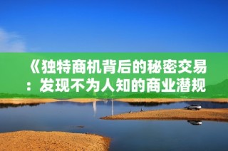 《独特商机背后的秘密交易：发现不为人知的商业潜规则》