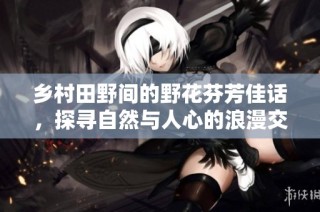乡村田野间的野花芬芳佳话，探寻自然与人心的浪漫交织