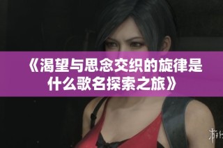《渴望与思念交织的旋律是什么歌名探索之旅》