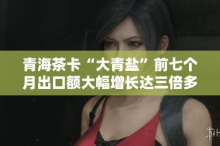 青海茶卡“大青盐”前七个月出口额大幅增长达三倍多
