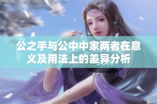 公之手与公中中家两者在意义及用法上的差异分析