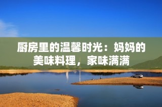 厨房里的温馨时光：妈妈的美味料理，家味满满
